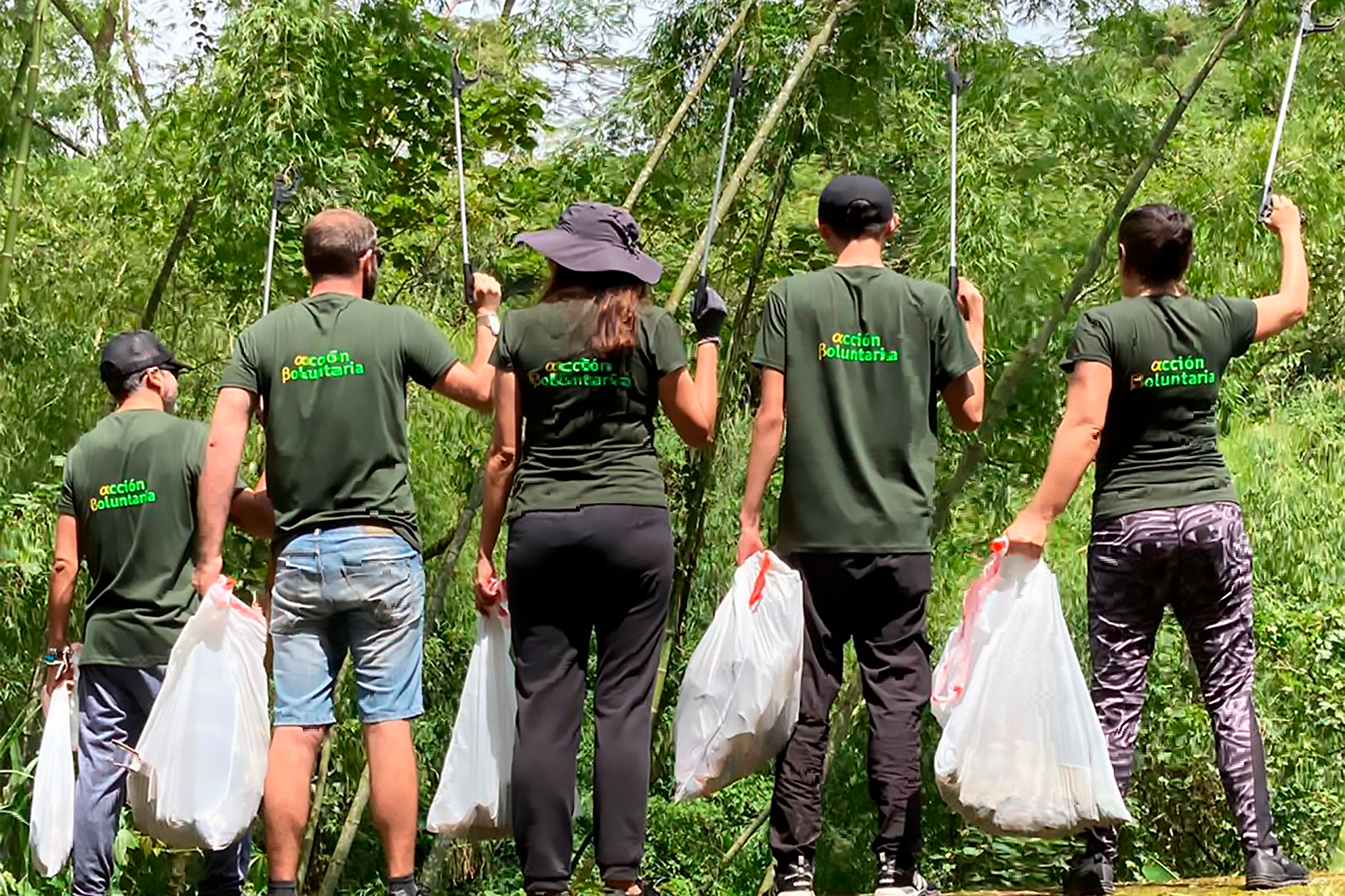 Acción Voluntaria